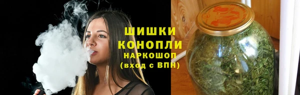 прущая мука Дмитриев