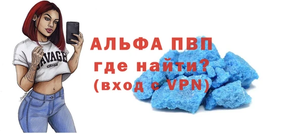 стафф Гусев