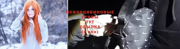 ПСИЛОЦИБИНОВЫЕ ГРИБЫ Дмитров