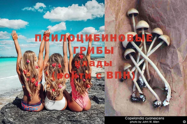 прущая мука Дмитриев