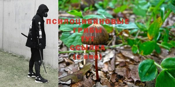 марки nbome Гусиноозёрск