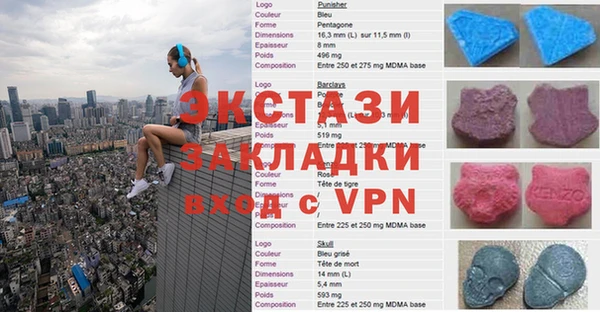 стафф Гусев