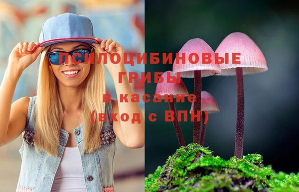 спиды Семёнов
