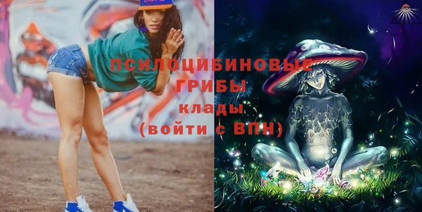 спиды Семёнов
