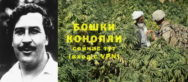 стафф Гусев