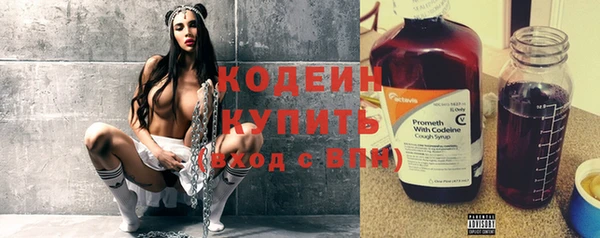 стафф Гусев