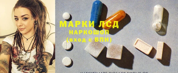 стафф Гусев