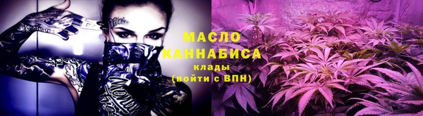прущая мука Дмитриев
